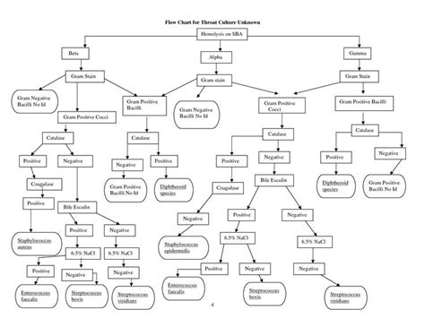 Loading Microbiology Flow Chart Microbiology Lab