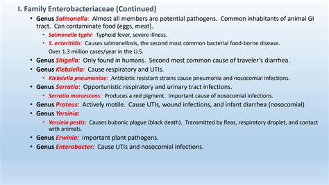 SOLUTION Gram Negative Rods Bacteria Shape Structure And