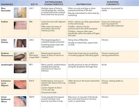 10 Common Rashes Skin Chart Themeloader