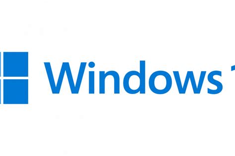 Windows 11 Pro Logo