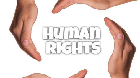 Human Rights Day 2022 Check Theme Significance Wishes Quotes And