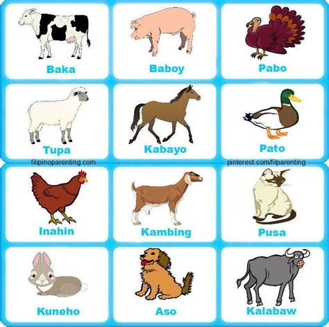 Farm Animal Names In Tagalog