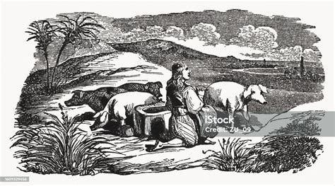 Prodigal Son Among The Pigs Woodcut Published 1837 Stock Illustration