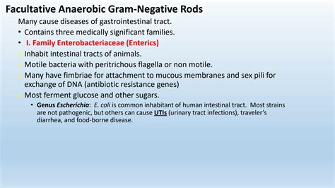 SOLUTION Gram Negative Rods Bacteria Shape Structure And