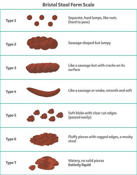 Printable Bristol Stool Form Chart