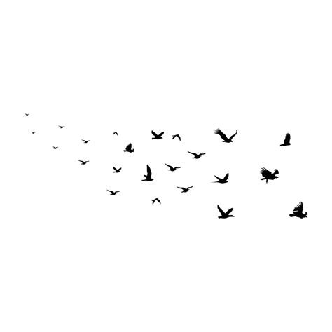 Silhouette Of Birds Flying In Flock Birds Flying Birds Birds Flock