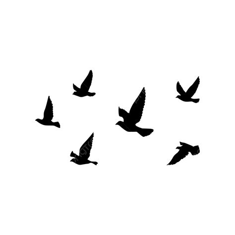 Flying Birds Vector Bird Flying Birds Birds Png And Vector With