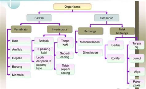 Nota Ringkas Sains Tingkatan 3 Bab 10 Part 1 Theme Loader