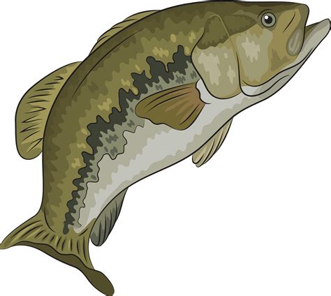 Jumping Bass Fish Fishing SVG Vector Cricut Cut File Dxf Eps Clip Art