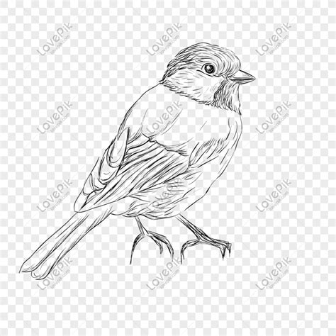 Flying Bird Vector Illustration Png Small Animals Birds Free Png