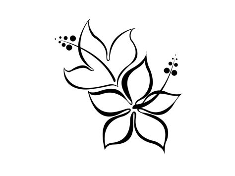 Simple Flower Drawings In Black And Whitefree Designs Hibiscus