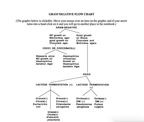 Gram Positive Cocci Flow Chart