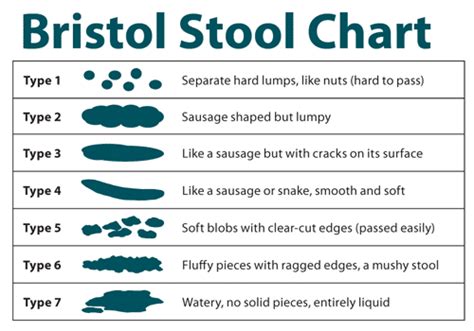 Bristol Stool Chart Image A Visual Reference Of Charts Chart Master