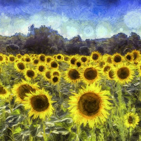 Van gogh loved working on sunflowers. Van Gogh Sunflowers - License, download or print for £25 ...