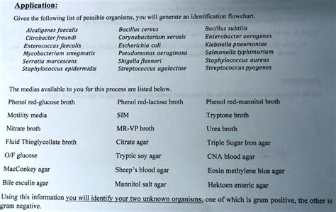 Solved Application Given The Following List Of Possible Organisms