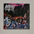 Anatomy - Tape / Vinyl / CD / Recording etc - Anatomy- Where angels die cd