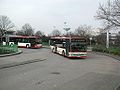 Busse in Leverkusen-Mitte