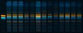 Electrophoresis