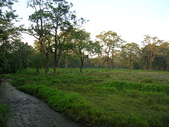 Jaldapara National Park (Alipurduar district)