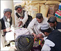 Men engaged in agriculture business