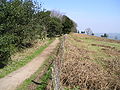 A pathway along the top of Caerphilly mountain