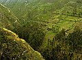 Landscape of the Amazonas