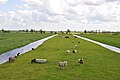 „Sloot“ heißt in den Niederlanden ein kleiner Kanal für die Landwirtschaft.