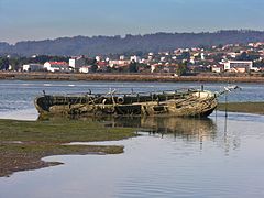 Nave afundida con corvos de mar