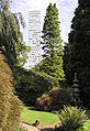 Japanischer Garten und Bayer-Hochhaus