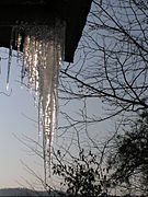 Icicles