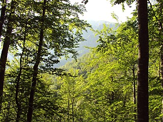 North slope of Botev, Stara Planina, Bulgaria