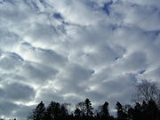 Stratocumulus