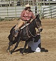 Compatizione di Barrel Racing