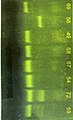 Electrophoresis