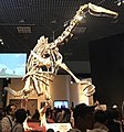 Deinocheirus mount.jpg