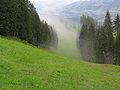 Alte Schneise, Streif, Hahnenkamm