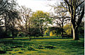 St. James's Park on a Winter Day