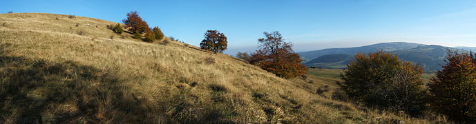 Himmeldunkberg in the Rhön.