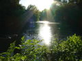 Lake in Roath Park