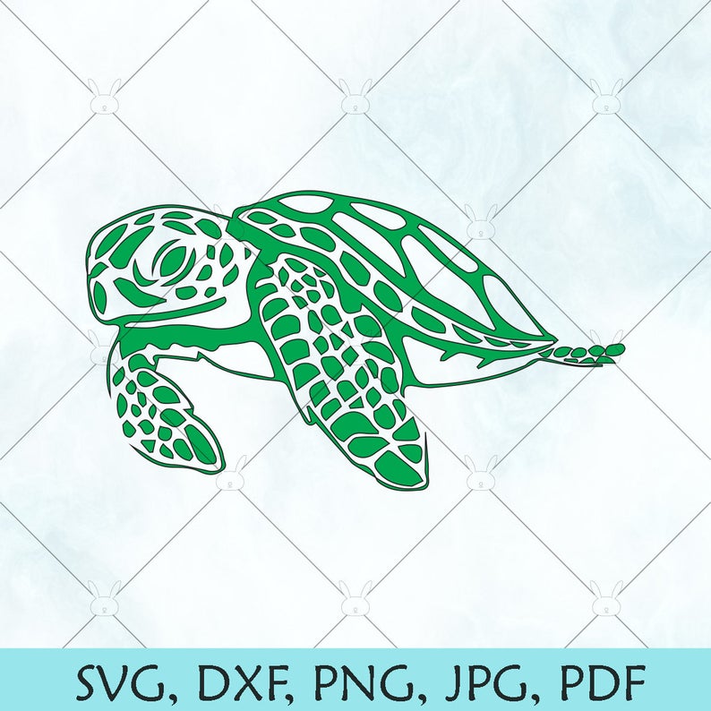 Sea Turtle Vector at Vectorified.com | Collection of Sea Turtle Vector ...