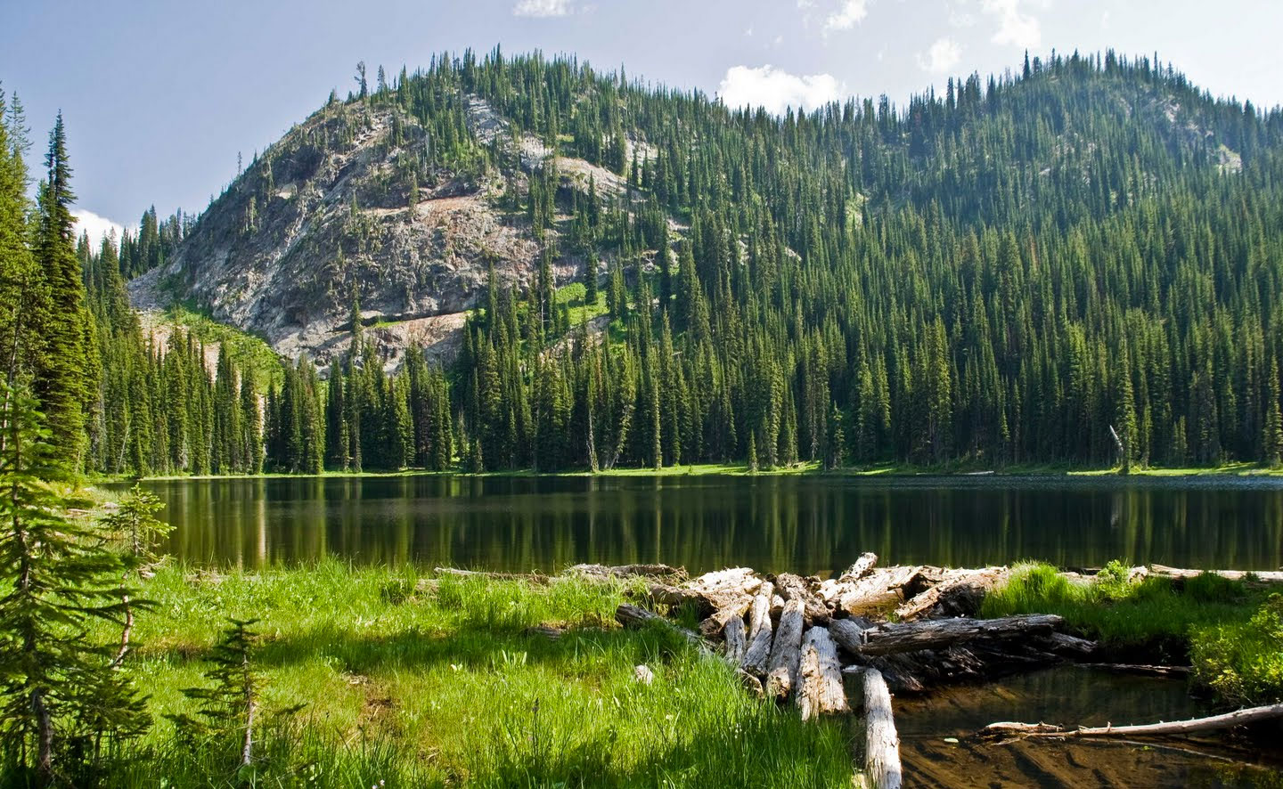 Nez Perce National Forest | vlr.eng.br