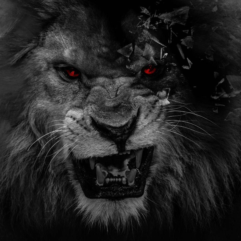 Bộ sưu tập Background black lion với hình ảnh sư tử đen