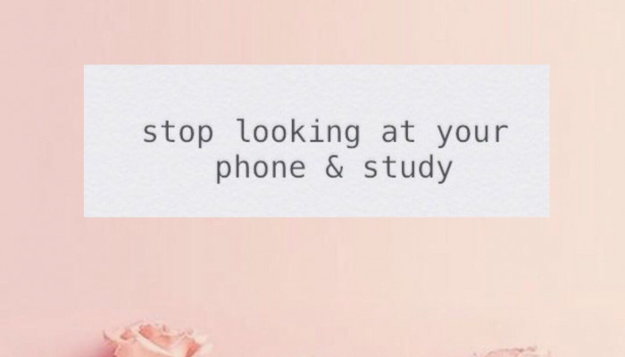 Study Motivational Quotes Wallpaper