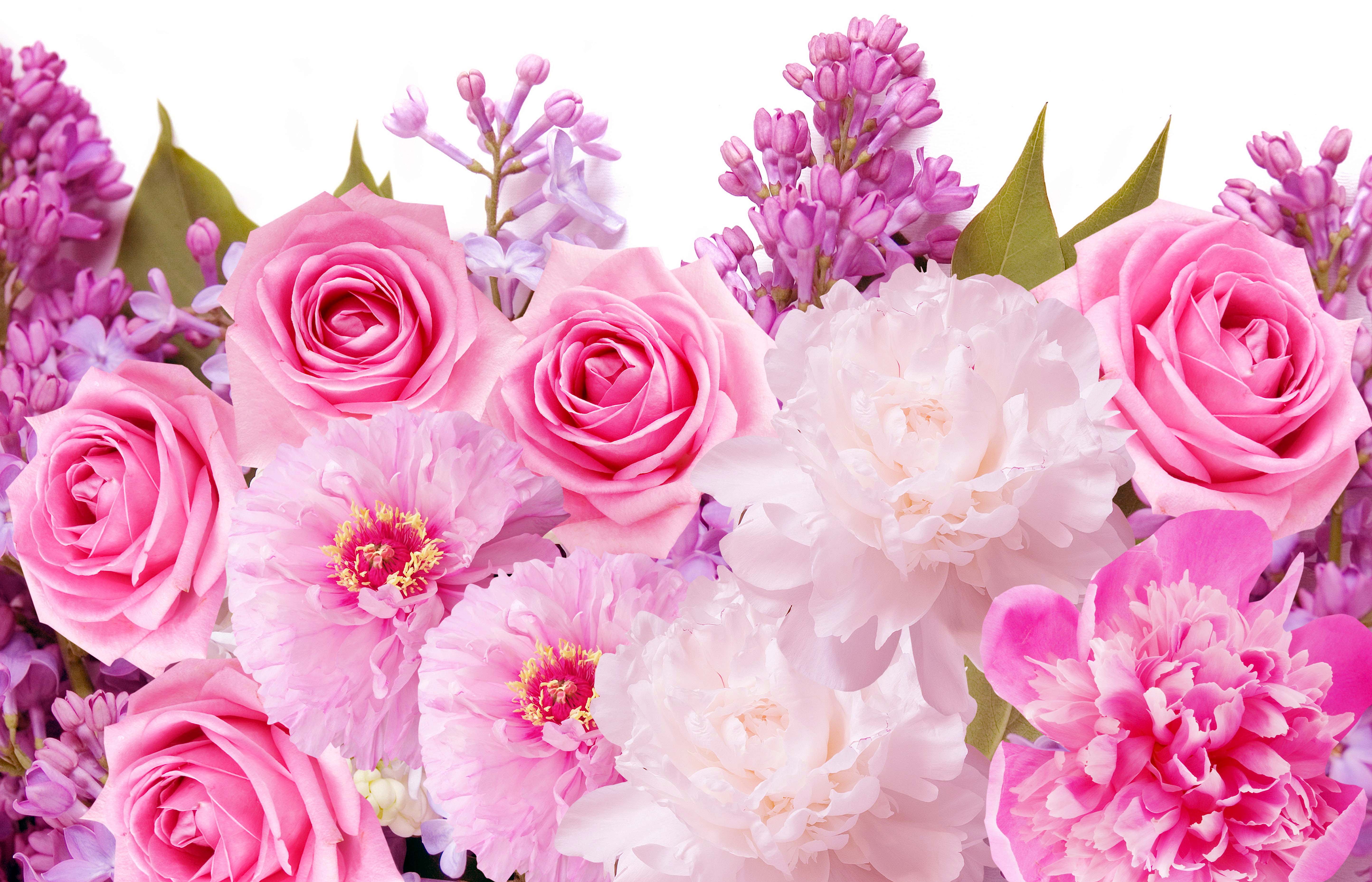 15 Outstanding pretty pink desktop wallpaper You Can Get It At No Cost ...