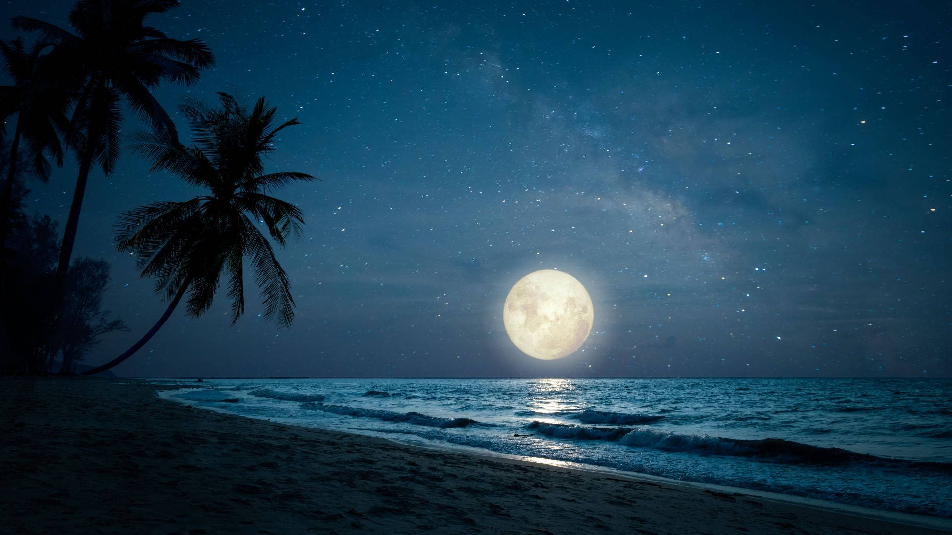 Beach Night Moon