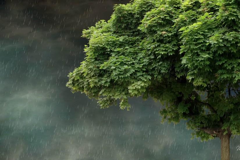 Spring Rain Wallpaper HD