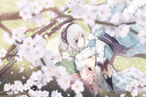 blue, Eyes, Butterfly, Flowers, Katana, Konpaku, Youmu, Pink, Hair, Saigyouji, Yuyuko, Sword, Tamamono, Atae, Touhou, Weapon