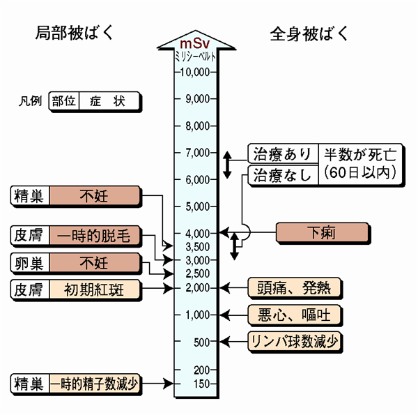 急性障害