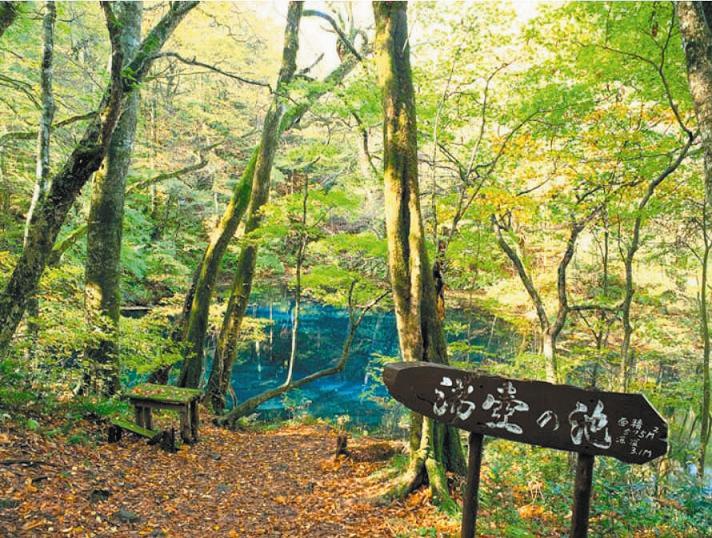 沸壷池の清水