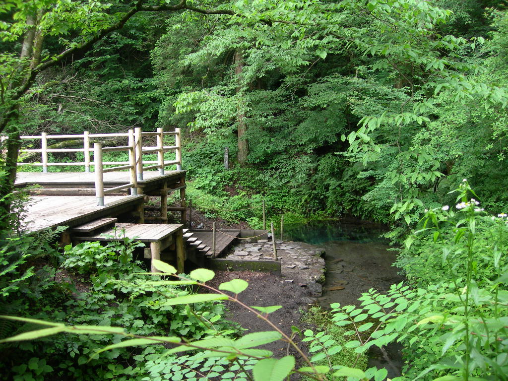 男池湧水群